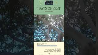 BREATH of Love 7 Days of Rest ReWeaving Wholeness [upl. by Bega]