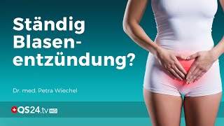 Ständige Blasenentzündungen  wieso  Dr med Petra Wiechel  Visite  QS24 Gesundheitsfernsehen [upl. by Oiramrej]