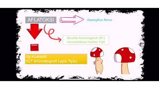 Uji cemaran Kapang Khamir dan Aflatoksin [upl. by Kerge]