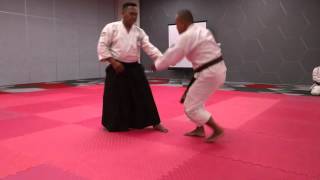 Aikido Jurus 16 [upl. by Auqined]