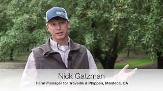 Nick Gatzman on the First Stop for Honey Bees  California Almonds [upl. by Ailee]