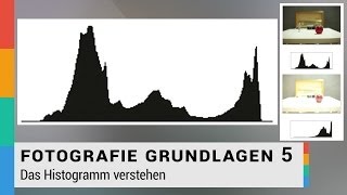 Histogramm verstehen  lesen  Histogramm Erklärung  Fotografie Grundlagen 5  HD [upl. by Anilorak]