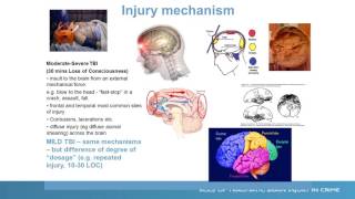 Neurobehavioral Disability and the Criminal Justice System [upl. by Alathia]