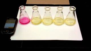 Hydrolysis of tButylChloride Kinetics Experiment 5 SN1 Reaction [upl. by Neltiac]