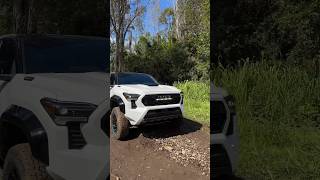 2024 Toyota Tacoma TRD Pro is a Freak of Nature [upl. by Niobe]