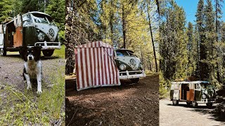 Camping in my 1961 Volkswagen Westfalia So23  Mt Hood Summer [upl. by Yejus235]