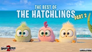 The Angry Birds Movie 2  Best of the Hatchlings  Part 2 [upl. by Fillian364]