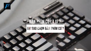 Playzone TV Series Bàn phím cơ là gì  Phần 1 Khái quát [upl. by Lienahs]