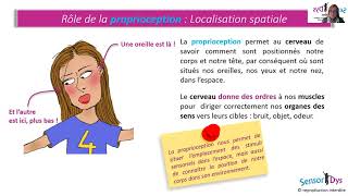 Partie I  La Proprioception [upl. by Gerald]