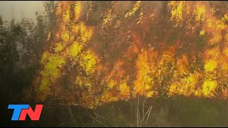 Los incendios de Corrientes fuego sin respiro y más de 780 mil hectáreas quemadas [upl. by Marla]