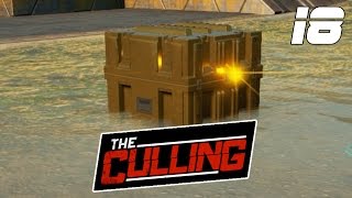 🔥 The Culling 18 ZŁOTE SKRZYNKI 200 FUNKu [upl. by Crowe]