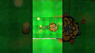 植物：保護我方飛賊！ games pvz 植物大戰僵屍 plantsvszombies [upl. by Walrath]