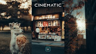 POV CINEMATIC Presets  Lightroom Mobile Preset Free DNG  POV Street Photography Presets [upl. by Ong]