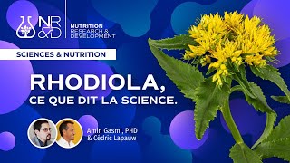 RHODIOLA ce que dit la science [upl. by Xam976]