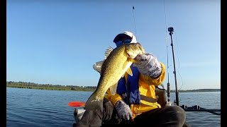 Lake Scugog Bass on fire [upl. by Refinnaj]