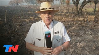 Corrientes bajo fuego implacables los incendios ya quemaron más de 335000 hectáreas [upl. by Bohman26]