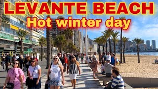 Levante Beach on Sunday GLORIOUS 24ºC in Benidorm benidormbyana [upl. by Hands]