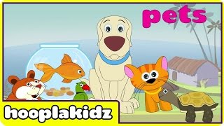 Preschool Activity  Learn About Pets  HooplaKidz [upl. by Elise]