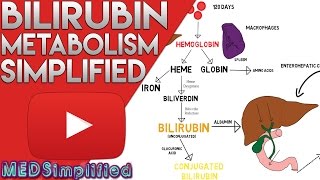 Bilirubin Metabolism Simplified [upl. by Valsimot]