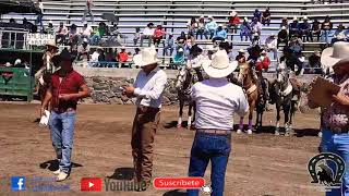 Tres Caballos Alcanzados Jaripeo En La Plaza de Toros La Loma Bonita de Bellavista Cortázar [upl. by Eehc]