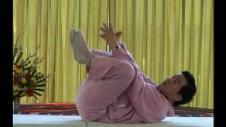 Mantak Chia DVD Tao Yin Yoga Clip 1 [upl. by Emelita949]