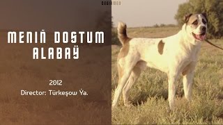 Meniň Dostum Alabaý Türkmen dokumental filmi  2012 [upl. by Oswald]