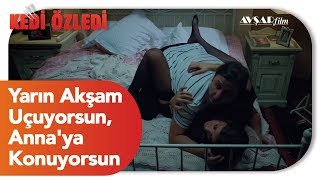 Yarın Akşam Uçuyorsun Annaya Konuyorsun Kedi Özledi Film [upl. by Adnirem]