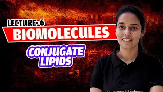 6Conjugate LipidsPhospholipidsLecithinCephalinGlycolipidsLipoproteinsHDLLDL NEETClass 11 [upl. by Teodor]