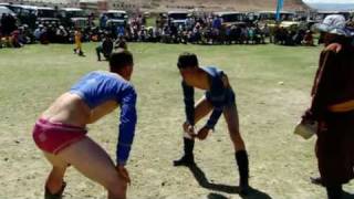 Mongolian Wrestling  Last Man Standing 55 [upl. by Terrence]