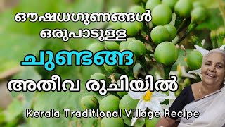 ചുണ്ടങ്ങ ഇതുപോലെ ഉണ്ടാക്കിനോക്കിയാലോ ഔഷധ ഗുണങ്ങൾ ഏറെ ഉള്ള chundanga recipe Kerala village cooking [upl. by Xuagram]