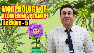 Morphology of Flowering Plants l lecture 5 l Biology l NEET [upl. by Valenta]