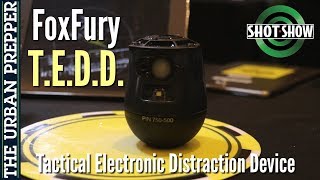 FoxFury TEDD Tactical Electronic Distraction Device  Shot Show [upl. by Lhary5]