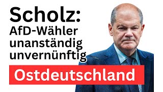 Kanzler Scholz beleidigt AfDWähler in Ostdeutschland [upl. by Clary]