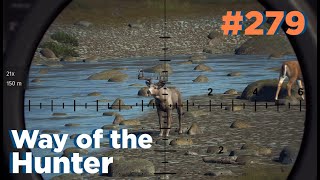 Solide Ausbeute und prächtige Geweihe 🦌  Way of the Hunter 279 [upl. by Gass]