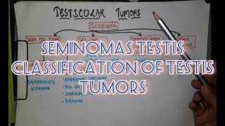 Testicular tumor Cancer  SEMINOMA and NON SEMINOMA  Pathology [upl. by Zelten]