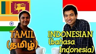 Similarities Between Tamil and Indonesian [upl. by Risa270]