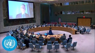 Abyei Three direct attacks on UNISFA patrols in the past two months – Security Council Briefing [upl. by Bobbi]