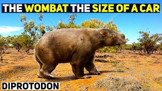 The Largest Marsupial To Have Ever Lived Diprotodon [upl. by Firooc559]