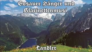 Gosauer Sänger und Klarinettenmusi  Landler [upl. by Brazee430]