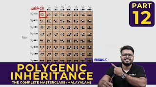 Mastering POLYGENIC INHERITANCE  Principles of Inheritance and Variations  CLASS 12 [upl. by Sirromal]