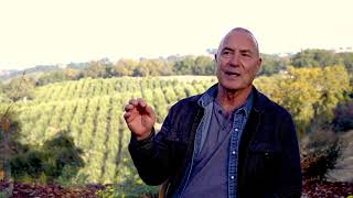 Rolland Rosenthal California Olive Farmer How Olives Are Grown  Harvested for Olive OIl [upl. by Hicks]