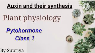 Auxin Phytohormone  Phytohormone Class 1  csirugc net life science june 2024 [upl. by Edge]