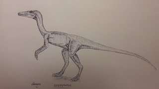 How to draw the compsognathus part 1 basic [upl. by Tristan899]