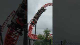 Would You Try the Spinning Seat  Steel Taipan at Dreamworld [upl. by Jobie305]