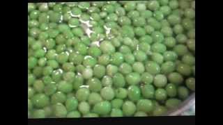 How to Freeze Peas Recipe [upl. by Granny125]