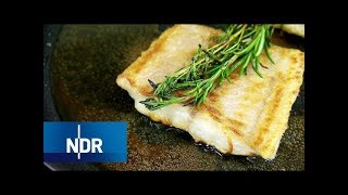 Fischzucht Fisch aus Niedersachsen 2019HD  Deine Doku [upl. by Benioff125]