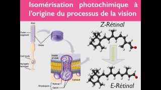 Géométrie des molécules  33 [upl. by Ynneb]