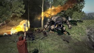 Dragons Dogma Dark Arisen PC  Combat montage [upl. by Yerffej]