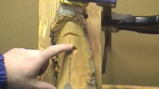 How To Carve A Wood Spirit Face With Hand Tools 3 [upl. by Potash]