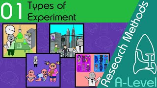 Types of Experiment  Research Methods  A Level Psychology [upl. by Vange]